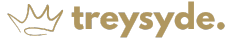 Treysyde Consulting LLC logo